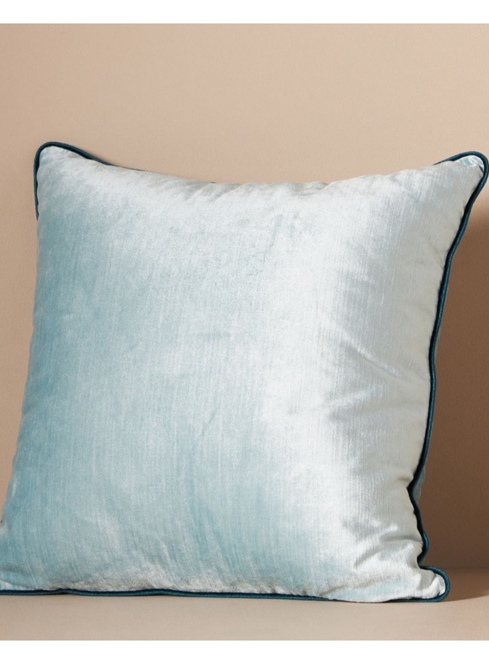 Anthropologie Adelina Velvet Accent Pillows with Feather Pillow Inserts